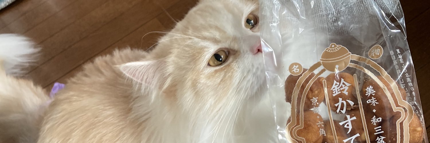 u_iru's profile banner image