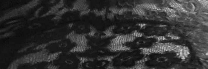 AntiHoomans's profile banner image