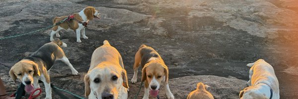 akadogluk Profile Banner