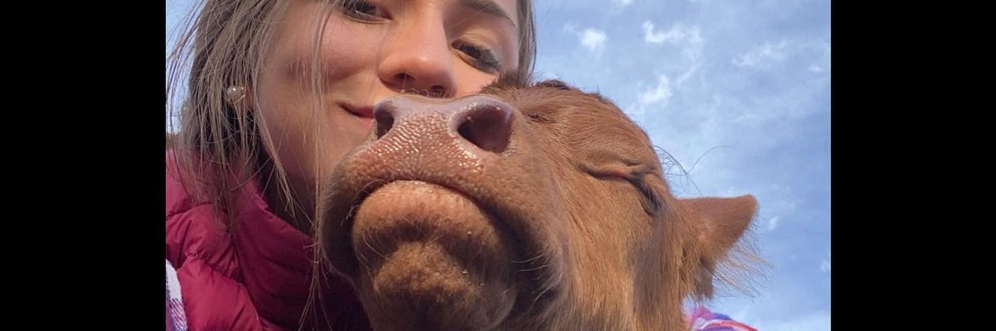 LariAttisA's profile banner image