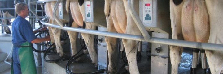 Daniel Villulla banner