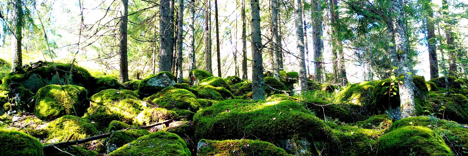 Marjut Gerkman banner