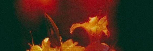 genesisbling Profile Banner