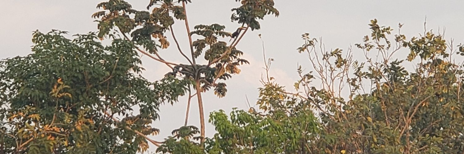 Tiago_JMX's profile banner image