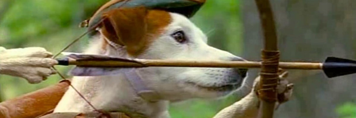 TaylorGarNerd's profile banner image