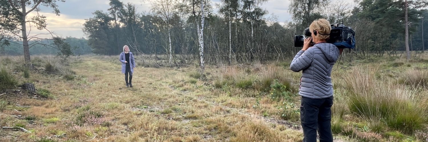 RoegTV's profile banner image