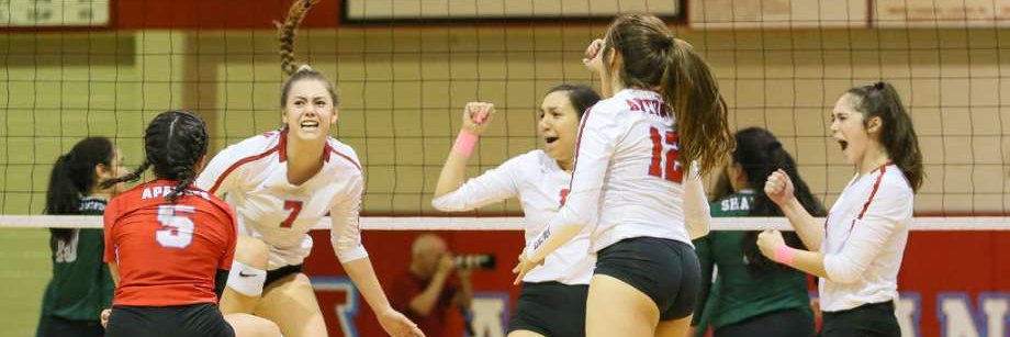 Alabama High School Volleyball Coaches Association banner