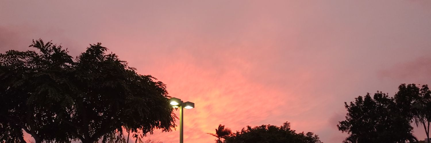 Cassidy Firefrost banner