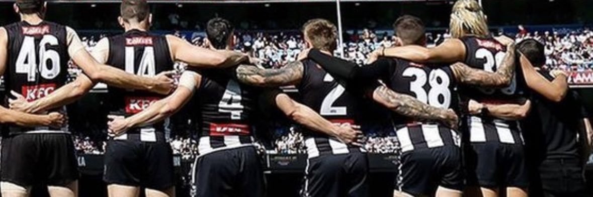 Andrew P banner