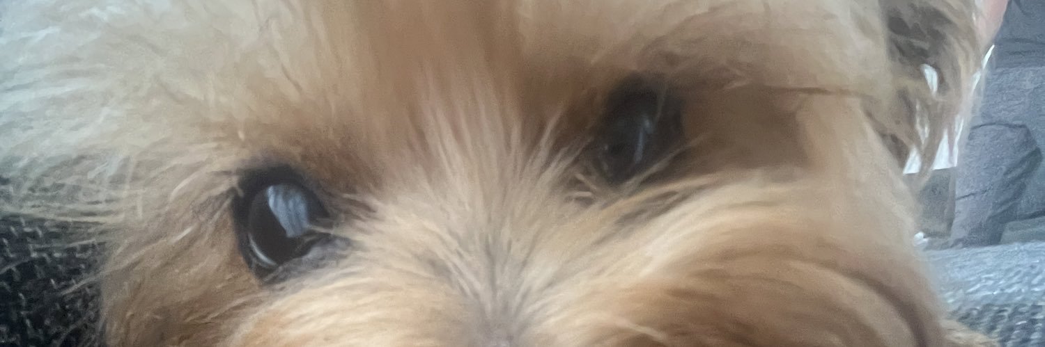 corderiuxx's profile banner image