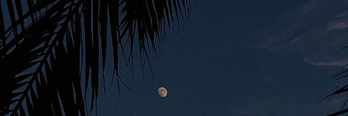 Rannali1's profile banner image