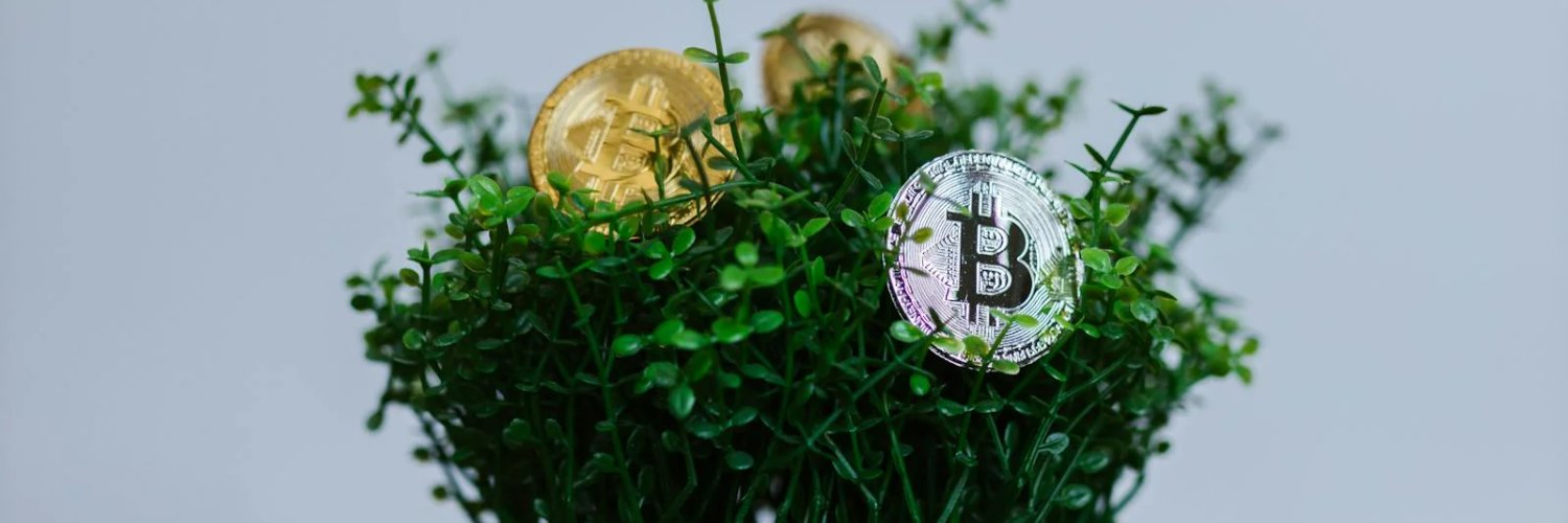 guardando user bjao banner