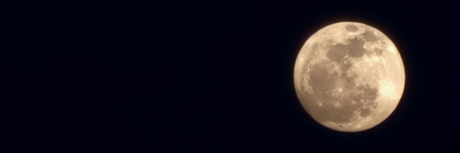 teegatdula's profile banner image