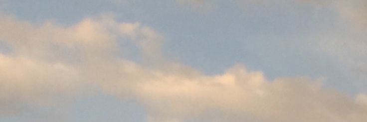 Whoami? banner