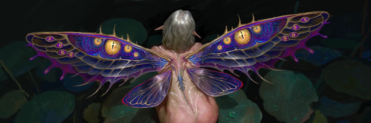 avndir's profile banner image