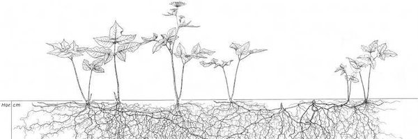 Vuohenputki Profile Banner