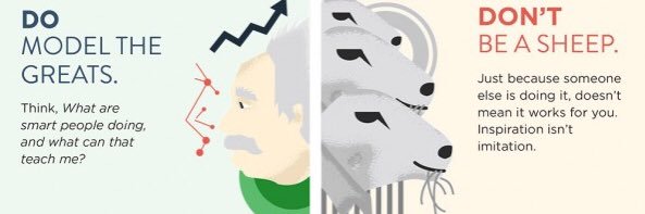 Anja banner