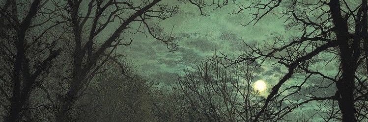 TheMorosseMuse's profile banner image