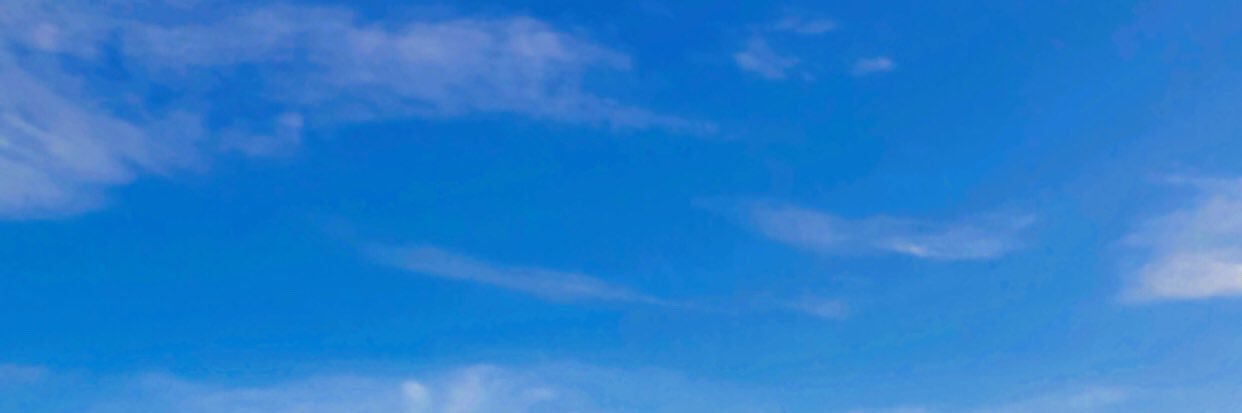 A U L banner