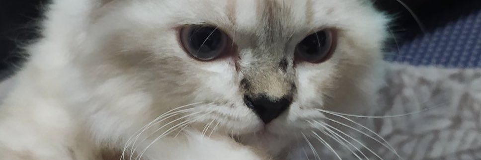 otw1m's profile banner image