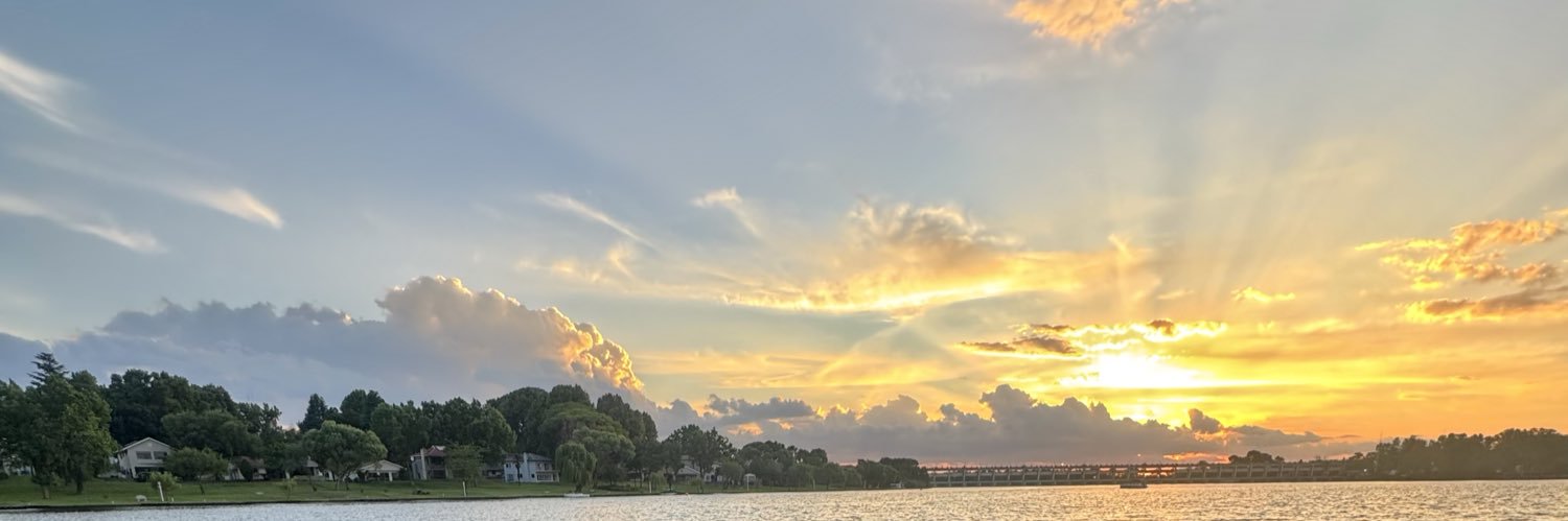 sheisjoie's profile banner image