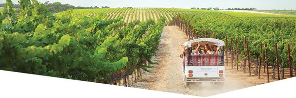 VisitNapaValley Profile Banner