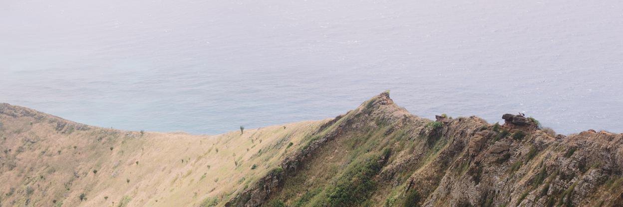 cmallariphoto's profile banner image