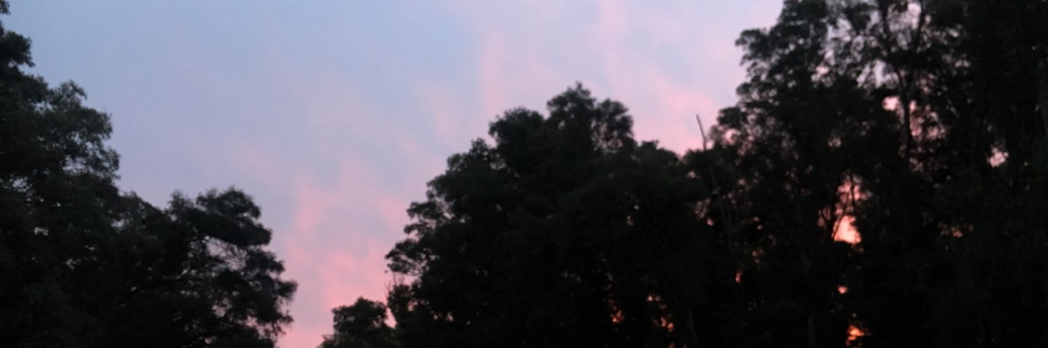 lacoreanaa's profile banner image