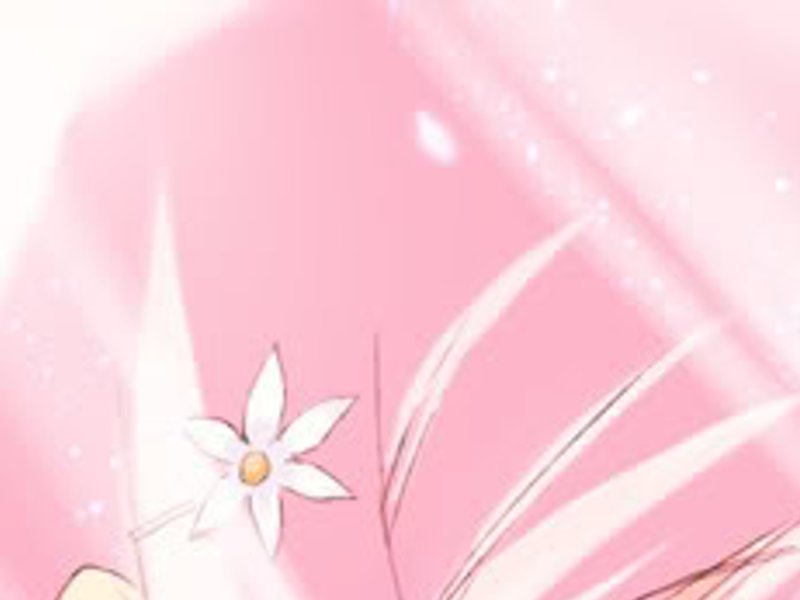 hidayet8806's profile banner image