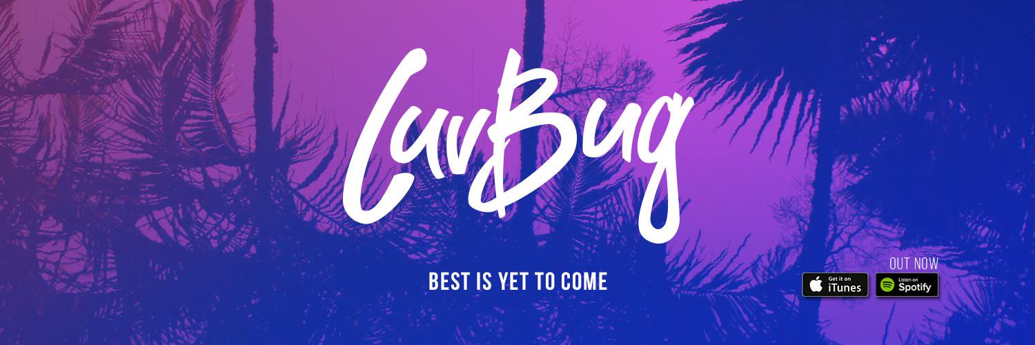 LuvBug banner