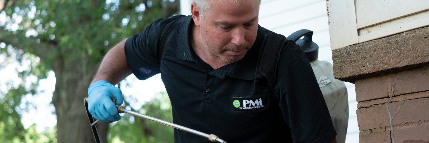 PMibugs's profile banner image