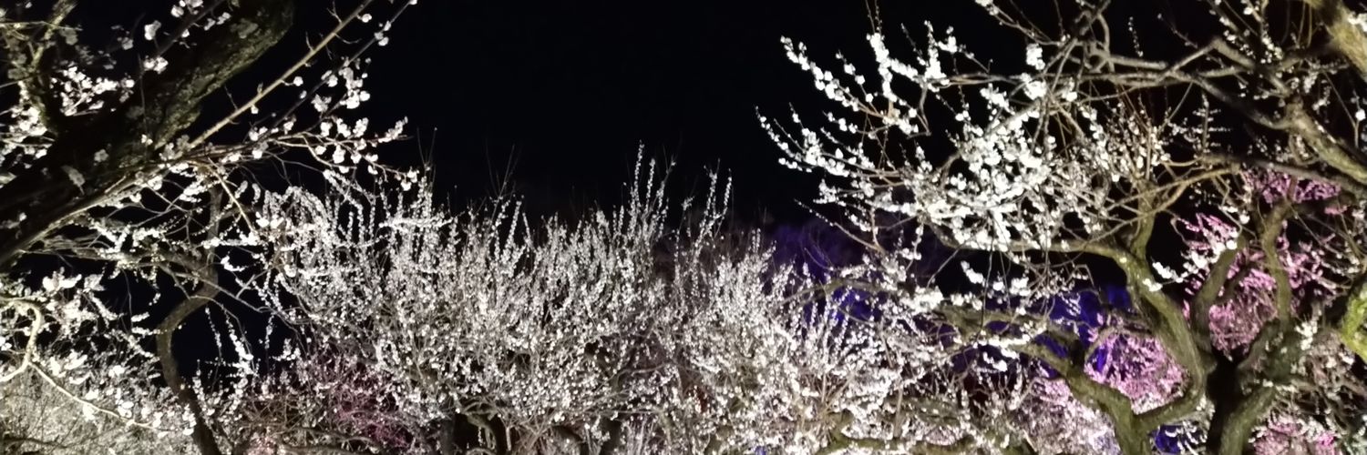 SK310298's profile banner image