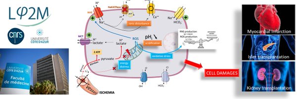 PisaniDidier Profile Banner