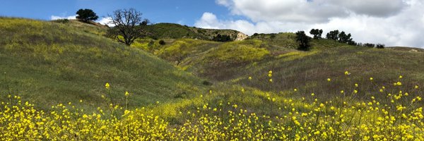 RepBrownley Profile Banner