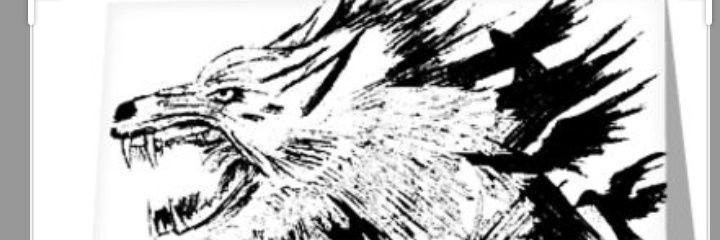 🐺Colmillo Blanco🐺 banner