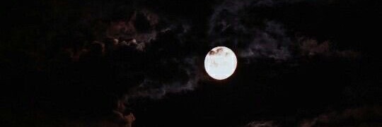 G banner