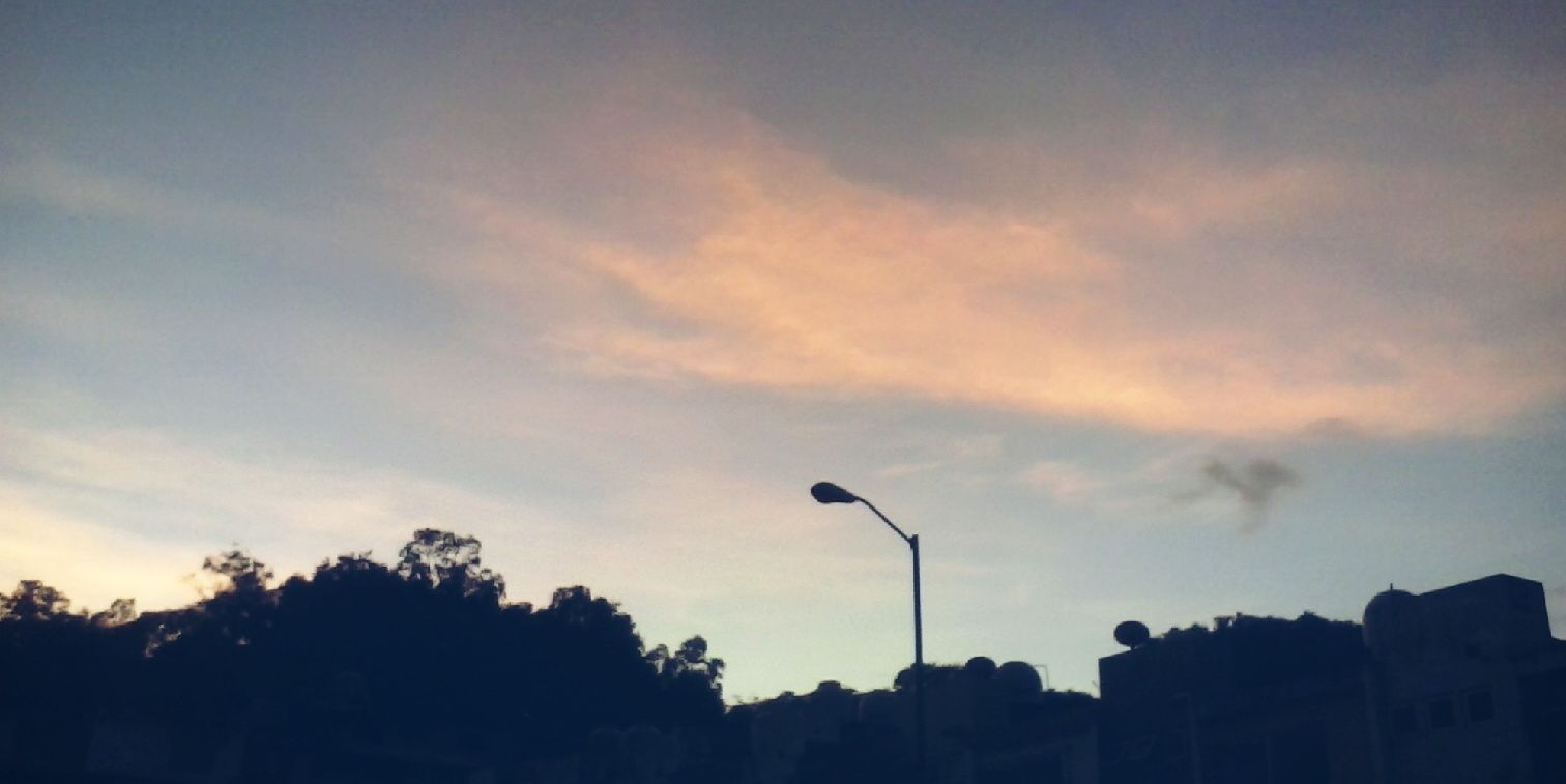 alisonyanil's profile banner image
