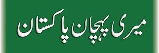 malik nawaz banner