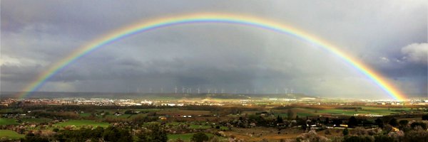 Mrtxu1 Profile Banner