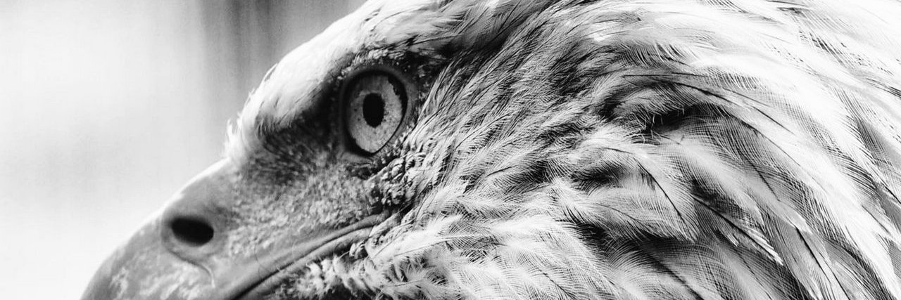 tojodus's profile banner image