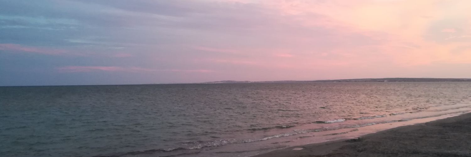 Andrea2L's profile banner image