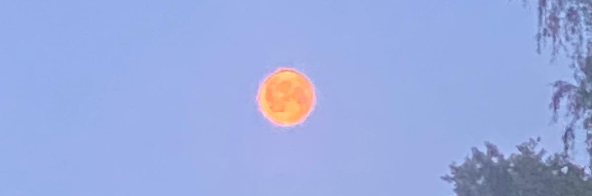 SwedishHouseMob banner