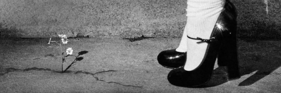 ímola ari 🌼💋 banner