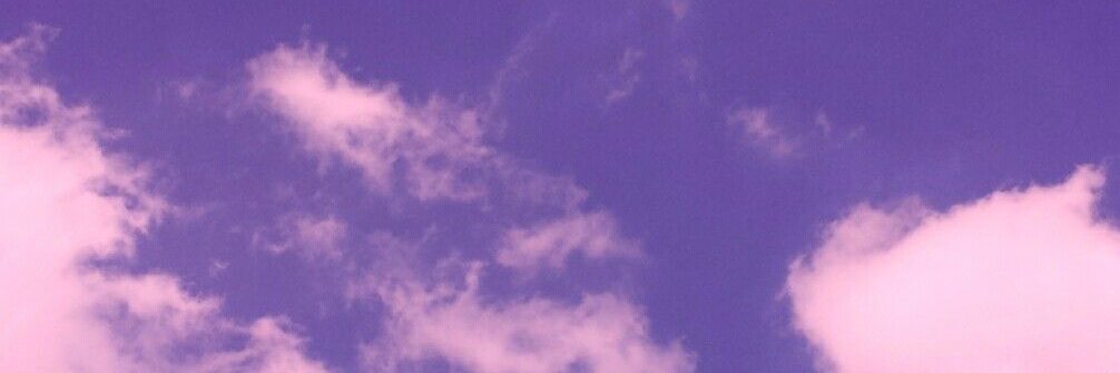 hailey02193594's profile banner image