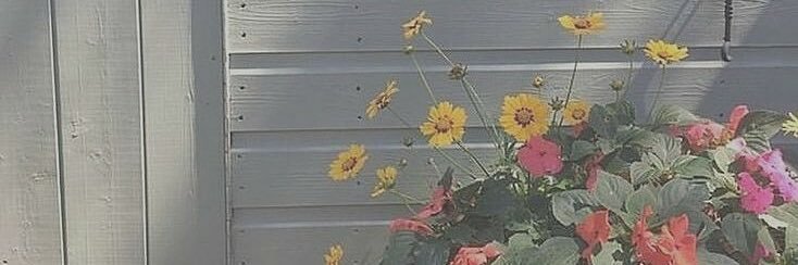 mf___mk's profile banner image