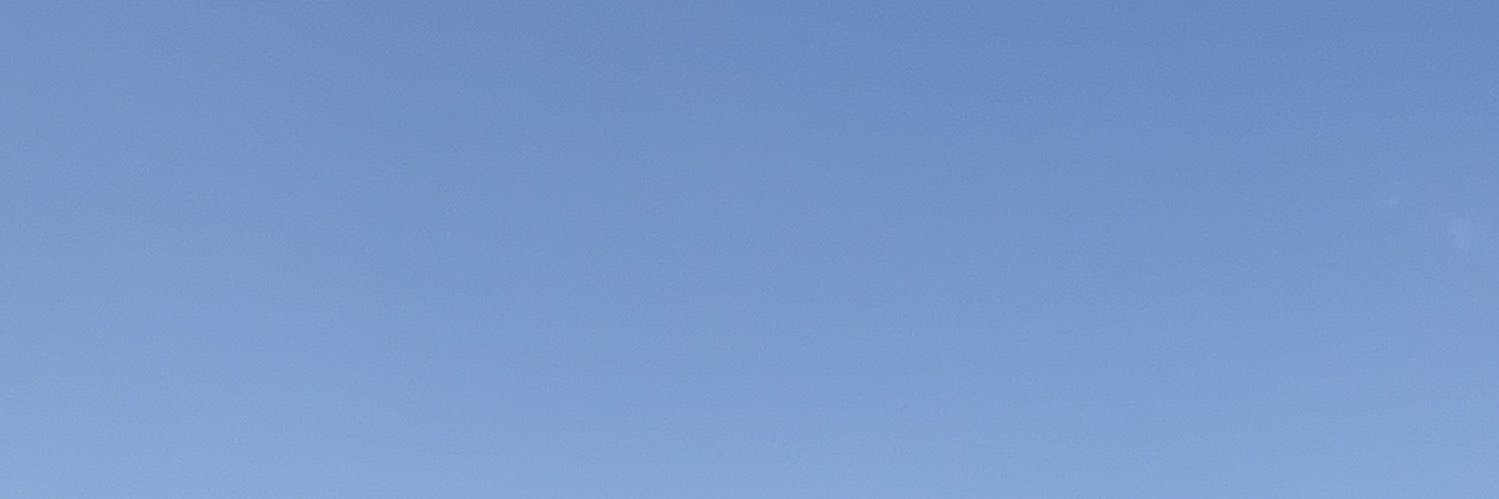 P ₍ᐢ..ᐢ₎ banner