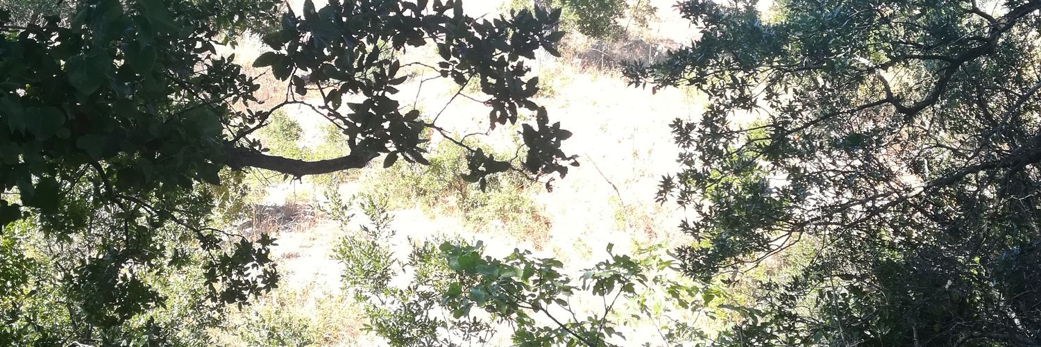 Deborahcolucci9's profile banner image