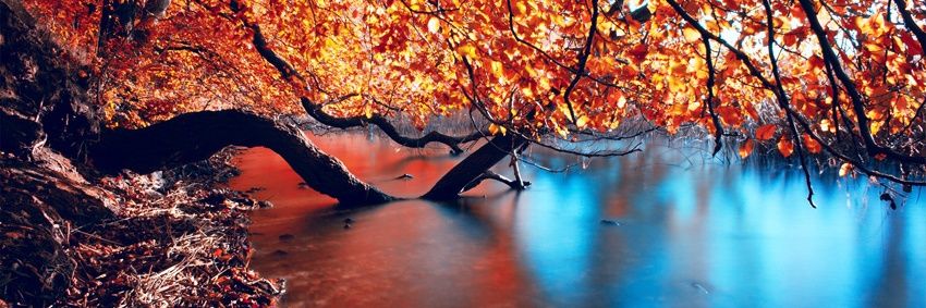 Unaccompanied Thinking banner