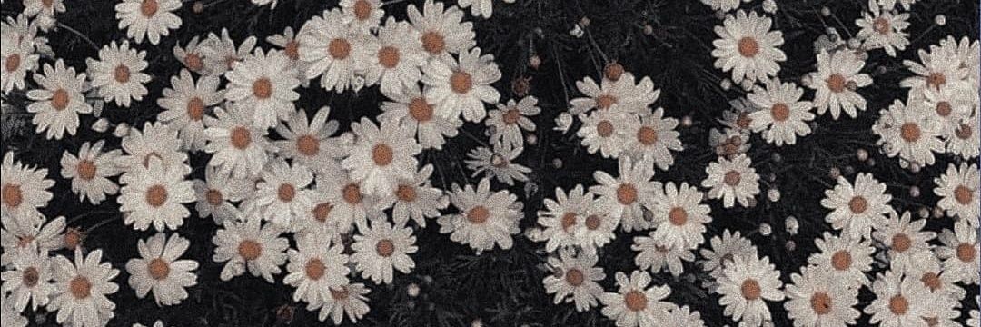 nomahcog's profile banner image