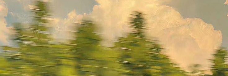 nobody_else____'s profile banner image